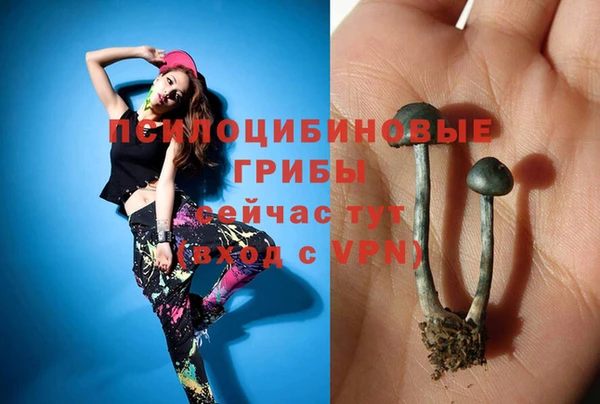трава Ишимбай