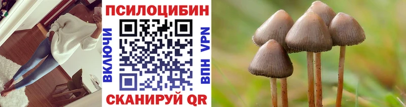 Псилоцибиновые грибы Magic Shrooms  Нововоронеж 